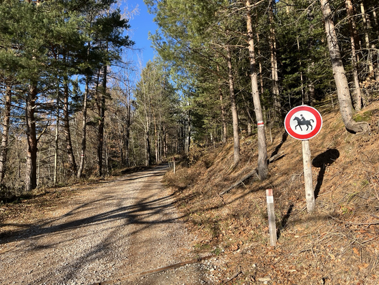 Reiten auch verboten