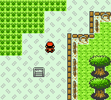 Screenshot of Pokémon Gold