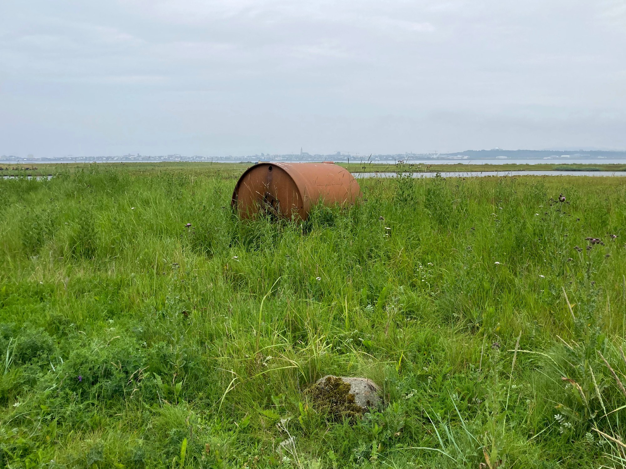 A rusty barrel surrounded with tall grass.