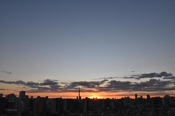 2025-11-29 06:33 Tokyo