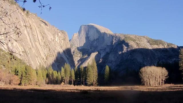 Sun and shadow in this view of Yosemite National Park today. In the foreground on the right, an island of trees is lit by the sun. Shadows behind give way to sunlit rock faces, including Half Dome in the center. The sun is also evident in the evergreen trees flanking the valley floor. A blue sky completes the view.