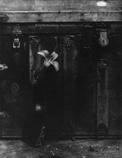 The image is a black and white photograph depicting an old wooden door with ornate metal hardware. The focus of the composition is on a single, wilted flower that stands out against the dark background. Surrounding details include decorative elements such as rosettes and engravings typical of antique European craftsmanship.

Additional information about this work can be found in Sergio Cavallo's Natura morta n° 2 series from Ferrania.