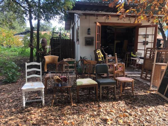 Selection of various chairs, workshop shed in a peaceful forest scene