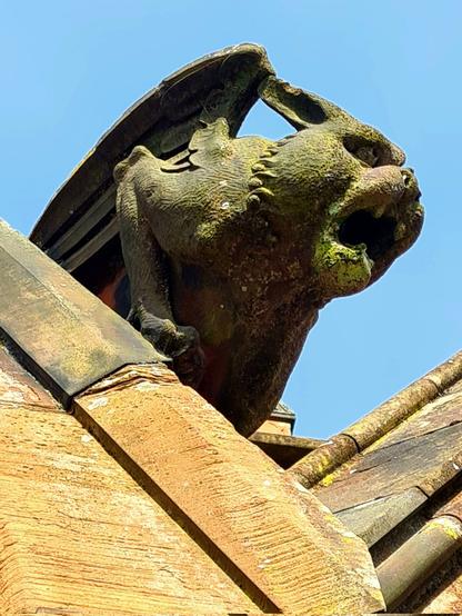 A beautifully sculpted grotesque on the roof of a Victorian Gothic church in Paisley.