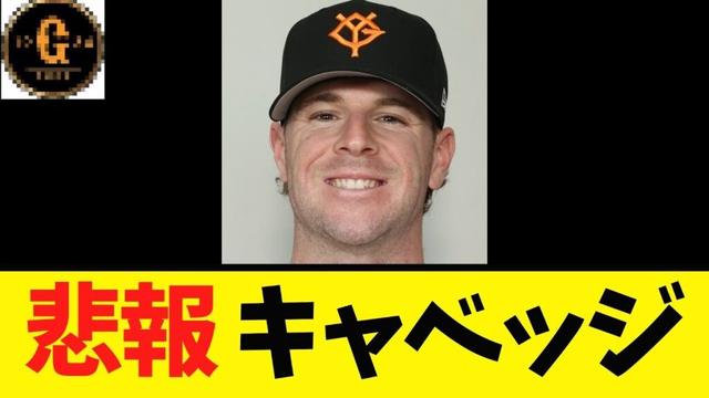 【悲報…】キャベッジ