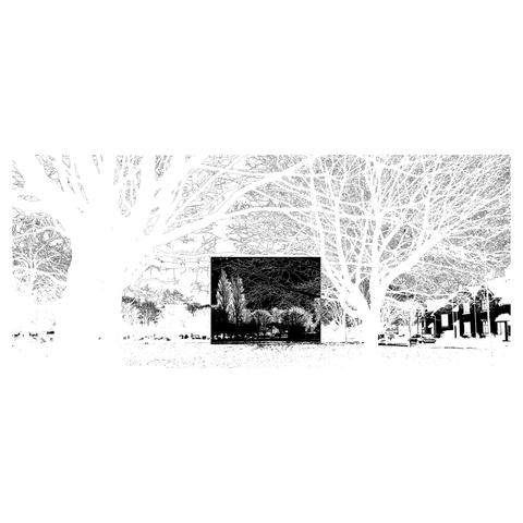 Disgrifiad (Cymraeg) : Ffotograff o'r coed ar y comin wedi gwneud du a gwyn

Description (English) :  Photograph of the trees on the common made black and white

འགྲེལ་བཤད།(བོད་ཡིག) :  ནག་དང་དཀར་ (nag dang dKar) Black and White