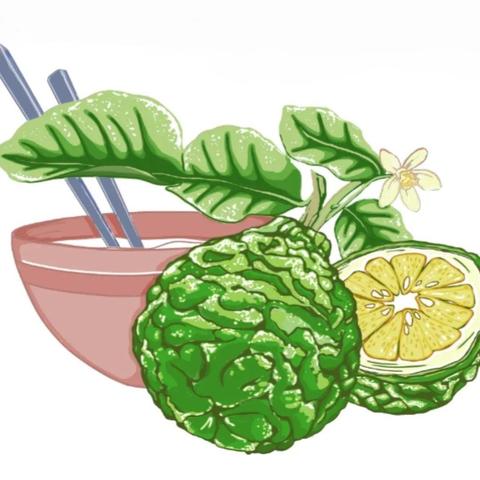 llustration du logo sans les traits noirs