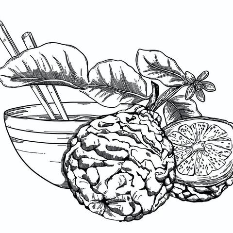 Illustration du logo au trait