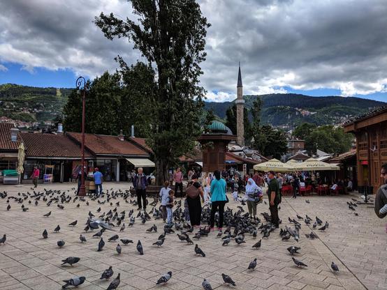 Lively scene from Baščaršija, the historic heart of Sarajevo, bustling with people strolling and feeding pigeons that fill the cobblestone square. The area is framed by traditional Ottoman-style buildings with red-tiled roofs, reflecting its rich cultural heritage. A prominent minaret, part of a nearby mosque, towers above the scene, while a distinctive sebilj (public fountain) stands as a focal point. The atmosphere is vibrant, with outdoor cafes and market stalls adding to the charm. In the background, rolling green hills and a mix of modern and historic architecture create a picturesque contrast under a cloudy sky.