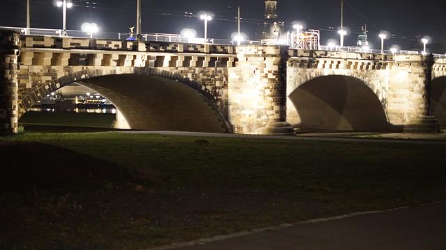 Vor der gut beleuchteten Albertbrücke ist ein kleiner, flacher Schemen zu sehen, der leicht Fuchs-förmig zu deuten ist.