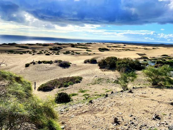 Yeah, I know, not winter just yet, but it's coming! 😜 Not today either (Gorgeous autumnal day with 24C and blue skies all around)! But, still, when it shows up, it can be quite dramatic seeing Maspalomas Dunes over some heavy and pretty dark clouds announcing heavy rainfall, like in this snap shot, and you know hell will unleash. Still, I *love* the massive contrast between the golden sand, the intense blue of the ocean and the sky in the horizon and those menacing dark clouds, telling everyone to run for cover or get rather wet! 😁👍🏻