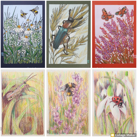 A photo collage of some of my insect art:
Bees with white flower, a lizard beetle, peacock butterflies and pink flowers, a grasshopper, a bee with lavender and a ladybird on a snowdrop.