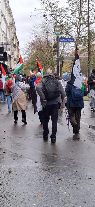 Paris 11eme
Photo d'une foule de gens vue de dos. Iels marchent portant des dizaines de drapeaux palestiniens vers la place de la Republique
