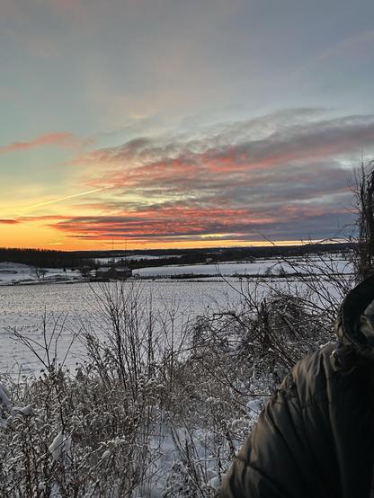 A scenic winter landscape featuring a snow-covered field and trees in the foreground, with a vibrant sunrise casting warm orange and pink hues across the sky. Dictation isn’t working today. The sun is almost up. As I type this it is rising.