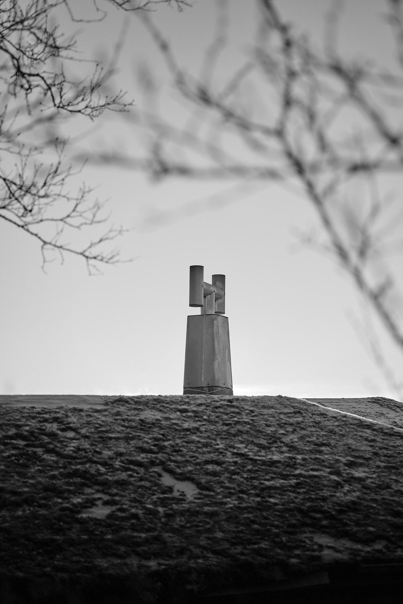 The chimney of the summer cabin and it's mossy roof