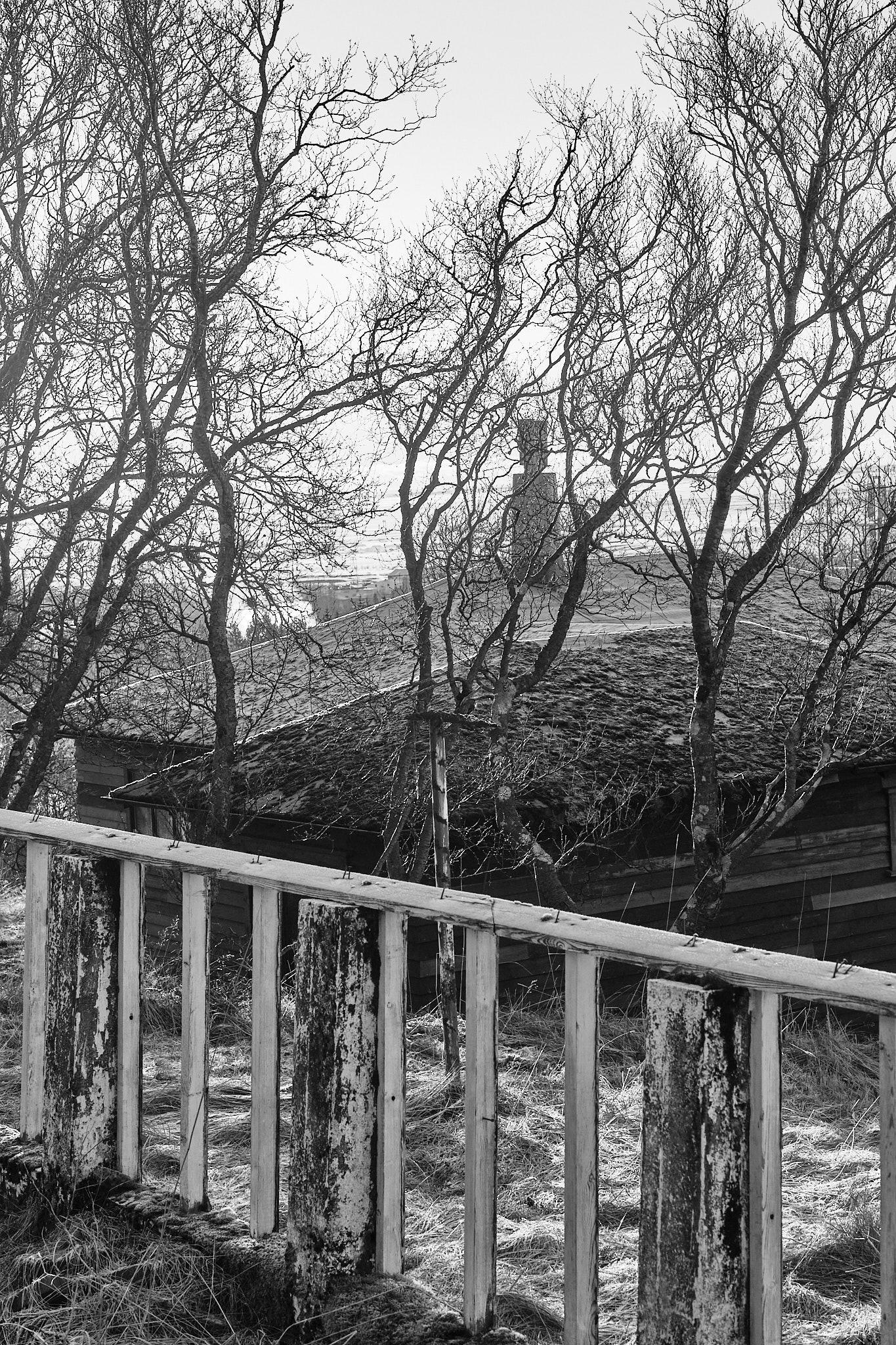 Over the ruined wall of a greenhouse, we see the summer cabin.