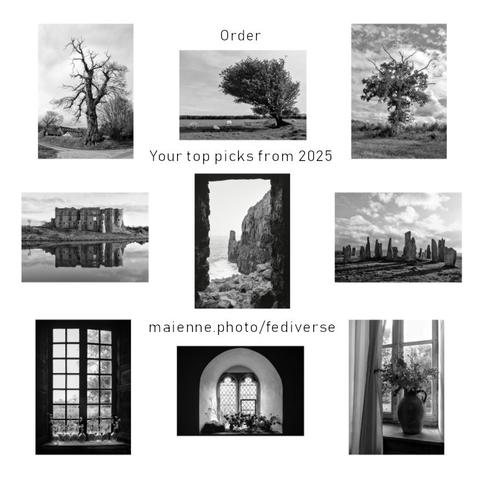 9 BW pictures of trees, landscapes and windows