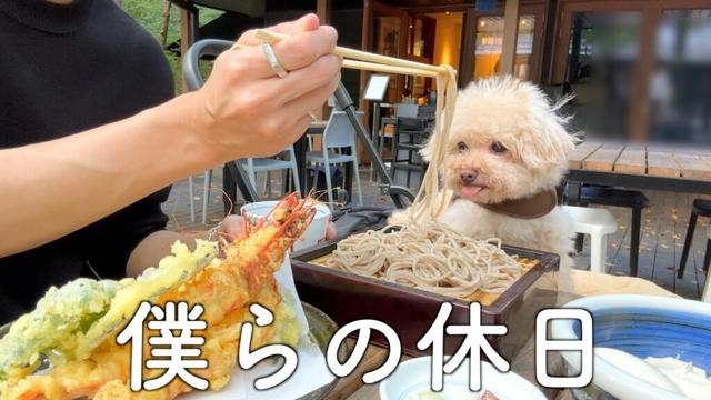 トイプードルと独男のノープランな秋の旅【軽井沢】