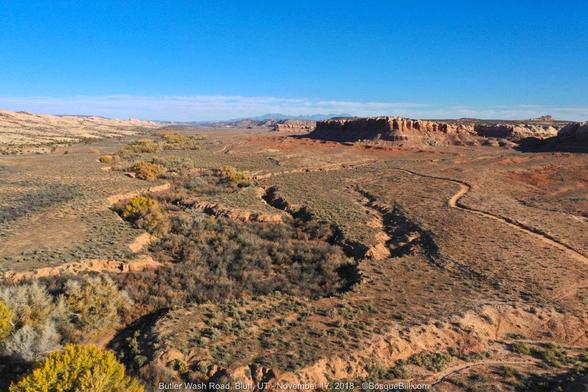 Aerial view looking up a desert wash with steep sandy banks and deep cut tributaries. Bottom of the wash is filled with shrubs and small trees. Surrounding flats have small sere shrubs. Shallow white sandstone cliffs one far right running to horizon; steep red sandstone cliffs and mesas on the right. Glimpse of distant mountains behind. Blue sky above; thin clouds along horizon.
©BosqueBill.com