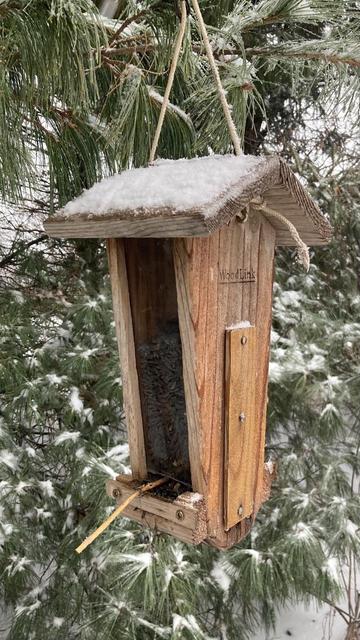 Stocked up. A wooden bird feeder with a bit of snow on the roof.  Behind the feeder is a white pine, long soft needles with a touch of snow.   The Woodlink brand name can be seen on the feeder.  Woodlink is a local business that (at least in the beginning) made all its feeders in Mount Ayr, Iowa.