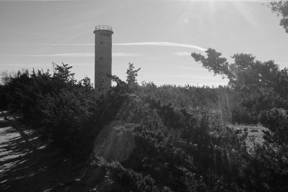 Monochrome image of a cylindrical concrete tower, beyond seashore vegetation in the foreground.
