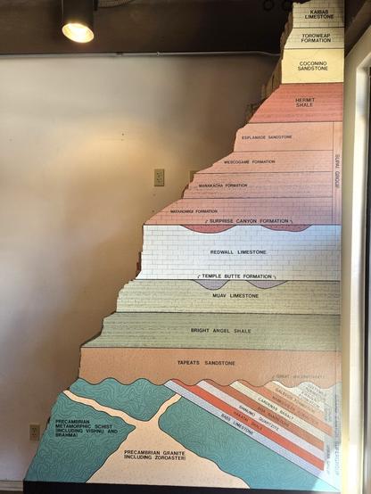 A labeled museum model depicting the rock layers within the Grand Canyon. The newer sedimentary rock in the top three fourths includes various limestone, sandstone, and shale layers. A wavy line about a fourth of the way from the bottom depicts the Great Unconformity, with much older metamorphic rock below.