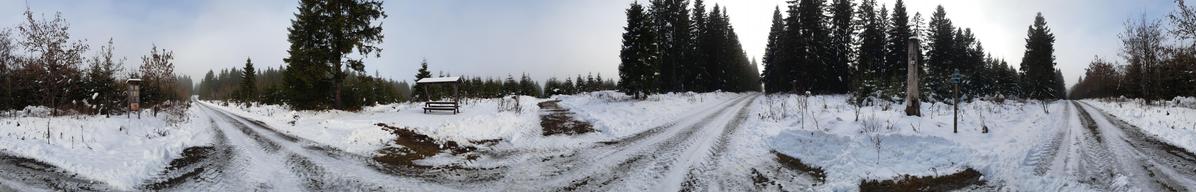 Panorama photo taken at a track crossing in the forest. The landscape is covered in snow.