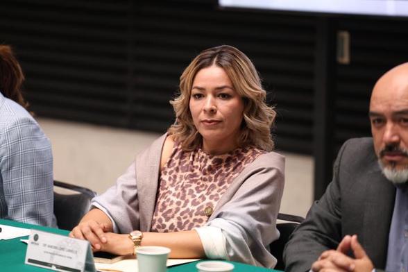 Vanessa López Carrillo