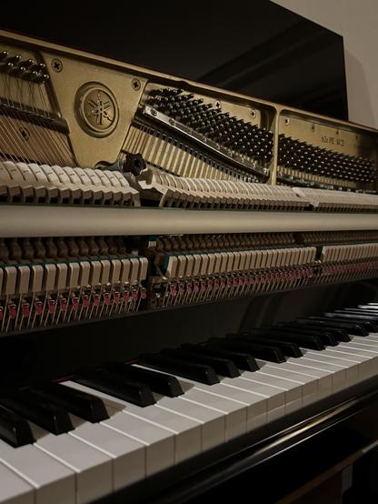 An close-up view of a piano's interior mechanism, showcasing the strings, hammers, and a section of the keyboard with black and white keys. The piano features a logo, likely representing Yamaha. The image is dimly lit, emphasizing the metallic