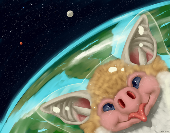 A portrait of a Kitti's Hog Nosed Bat facing forwards and at the bottom right corner of the painting. Their head is within the glass done of their space helmet as they look forward into what appears to be the camera's view. With a smile on their face they give a happy blep at the camera as they do their space walk. The lights and stars somewhat reflecting off their helmet. Behind them is their planet with it's green and tan continents separated by different oceans. Further out into the space towards the top left of the painting is the moon. Further out is a red planet passing by and a smaller dot of a blue planet. Many stars can be seen shining through the darkness of space.