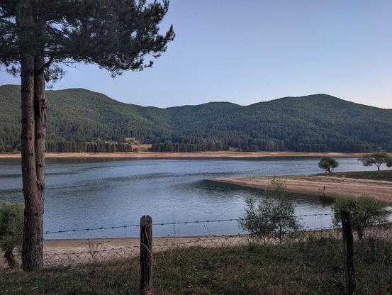 View of Lake Arvo and its shores
