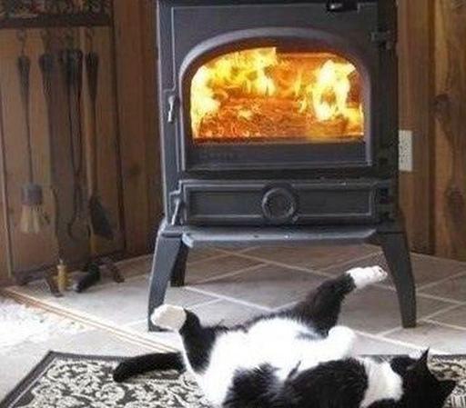 A cat recharges with valuable heat in front of a wood burning stove during a cold morning