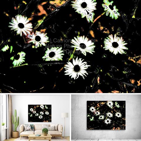 Above coloured photograph featuring the design- 

Abstract Summer Daisies in the Darkness.

Lower left design on a Canvas Print on a wall above a couch. 

Lower left design on a Canvas Print on an exhibition wall.

I took a photo of Daisy flowers and laterally colour digitally edited these to enable this modern abstract floral piece to emerge. 

Features a group of bright daisies standing out vividly against a dark backdrop. 

The stark contrast highlights the delicate petals and centers. 

Mockups combined in a grid format in canva.com

Click links on the main post for options.