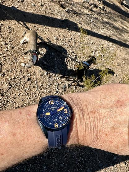 wristwatch selfie w/dachshunds