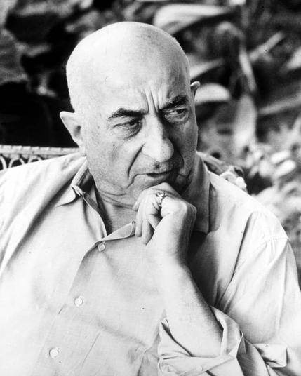 The image is a black and white photograph featuring an elderly man with a bald head. He appears contemplative, resting his chin on one hand while looking off to the side. The background seems blurred but hints at foliage or plants, suggesting he may be outdoors or near vegetation. His attire consists of a light-colored shirt with rolled-up sleeves.

The image is labeled "Ardengo Soffici," which could refer to Ardengo Maria Soffici (1903-2004), an Italian Marxist philosopher and activist known for his critical theory work on Marxism, as mentioned in the source information provided. The link suggests that this photograph may be from a publication or article related to him. However, without more context about where the image is used or who took it, further details cannot be confidently determined.

The focus of the description is intended to represent an accurate and neutral depiction of the content within the image, avoiding assumptions about personal characteristics beyond what can be seen directly in the photograph.