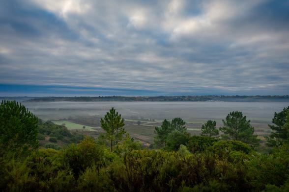 a morning view of low lying fog covering a valley seen from a hill, with approaching storm clouds in the sky