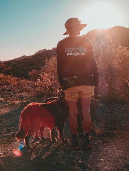 Auto-generated description: A person wearing a hat and a Patagonia sweater stands with a dog on a trail in a sunlit desert landscape.