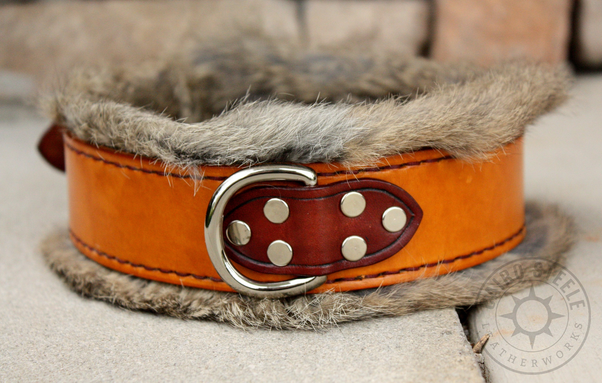 A light-brown leather collar with a gray fur liner and silver hardware