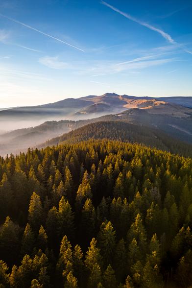 Das Bild zeigt eine Waldlandschaft mit weiter Perspektive und atmosphärischer Tiefe. 
Ein dichter Nadelwald breitet sich über die untere Bildhälfte aus. Die dunklen, sattgrünen Baumkronen wirken kompakt und kraftvoll. Die Bäume stehen eng beieinander und bilden eine fast undurchdringliche grüne Masse, die sich sanft in die Täler senkt.
Zwischen den Hügeln zieht sich ein Schleier aus Nebel durch die Landschaft, der die Täler weich ausfüllt und die Höhenzüge voneinander trennt. Dieser Nebel schafft eine starke Tiefenwirkung und verleiht dem Bild eine fast träumerische Atmosphäre.
Im Hintergrund erheben sich sanfte Bergkämme, die von warmem Sonnenlicht durchflutet werden. Das Licht der Abendsonne ist golden und klar und hebt die Konturen der Berge hervor.
Der Himmel ist strahlend blau und nahezu wolkenlos, durchzogen von weißen Kondensstreifen, die wie feine Linien die Komposition beleben.
Das Bild wirkt ruhig, weit und erhaben, eine Einladung zum Innehalten und Staunen. Die Kombination aus Wald, Nebel, Licht und Himmel erzeugt eine harmonische Balance zwischen Erdverbundenheit und Weite.