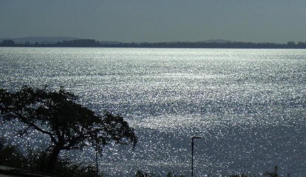 Sol refletindo na água de forma que toda a superfície visível na foto tem faíscas prateadas. Em primeiro plano, no canto, há a silhueta de uma árvore. Na margem oposta vê-se uma linha de árvore e alguns pequenos morros.