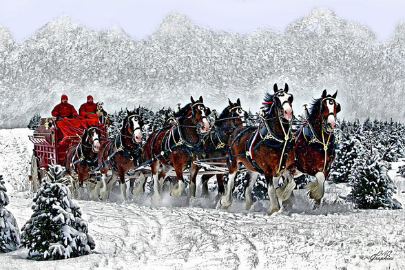 Clydesdales Hitch In Snow