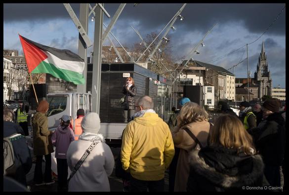 People attending the pro Palestine rally
