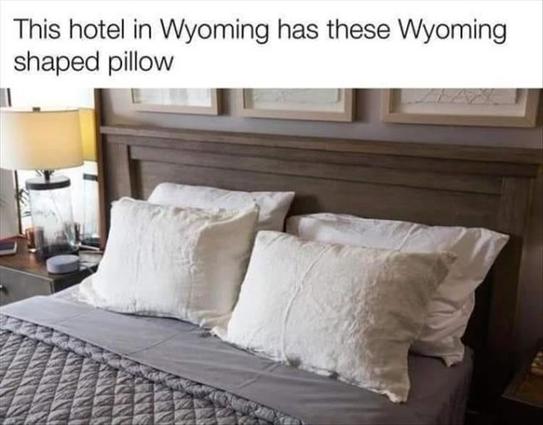 Meme:
Photo of a hotel bed with 4 completely normal, rectangular pillows.
Text: This hotel in Wyoming has these Wyoming shaped pillow