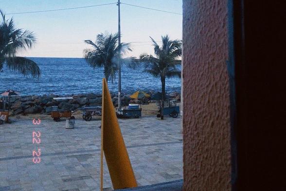 Uma vista do oceano com 3 palmeiras e pedras, capturada através de uma janela. Em primeiro plano, o calçadão logo depois as pedras e enfim o mar, bem azul. Na imagem tbm apresenta carrinhos de mão de venda de bebidas e uma escultura triangular amarela.