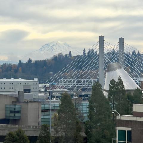 Downtown roofscape with a conical chimney type thing visible in the right and a very contemporary suspension bridge behind it. Beyond is a tree covered ridge and beyond that the peak of Mt Rainier, covered in snow, blends in with the silvery clouds.