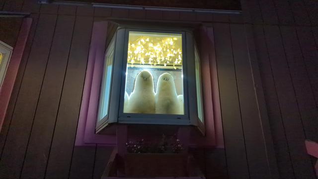 A small bay window, photographed at night. Two llama plushies sit inside, gazing out (and down) at street traffic. They're backlit by string lights and look *very* judgemental.