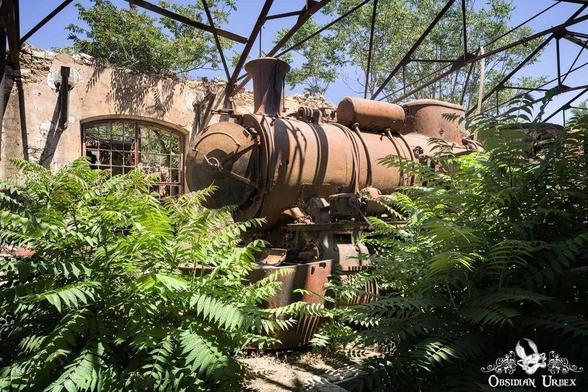 A rusted, abandoned steam locomotive sits amid overgrown plants inside a dilapidated, roofless building with broken windows.