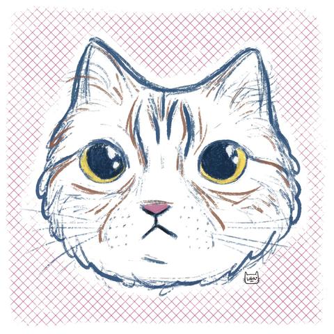 A digital painting of a cat's face, made with pencil brush. It's a tabby cat with attentive expression, round eyes and round face.