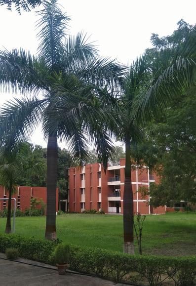 A lush scene with tall palm trees in the foreground, set against a backdrop of red brick buildings and a well-maintained green lawn, suggesting a serene campus.