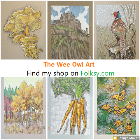 A photo collage of some of my artwork with the banner 'The Wee Owl Art' find my shop on Folksy.com
The pictures in the collage are:
Yellow mushrooms
Edinburgh Castle
A pheasant in winter
An autumn landscape
Carrots
Monarch butterflies in flight